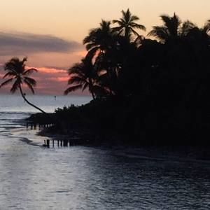 Meet your Posher, Rose